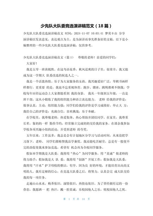 大队委竞选发言稿  第1张