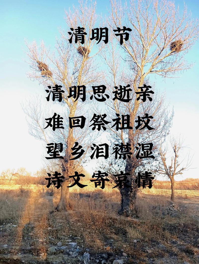 清明节思念亲人最佳句子 思念亲人逝去的短句  第1张