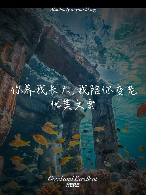 你陪我长大，我陪你变老～感恩父母  第1张