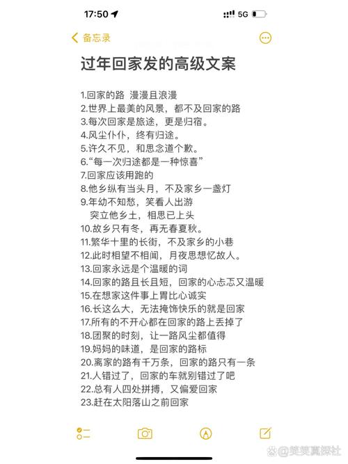 关于春节回家的高级文案  第1张