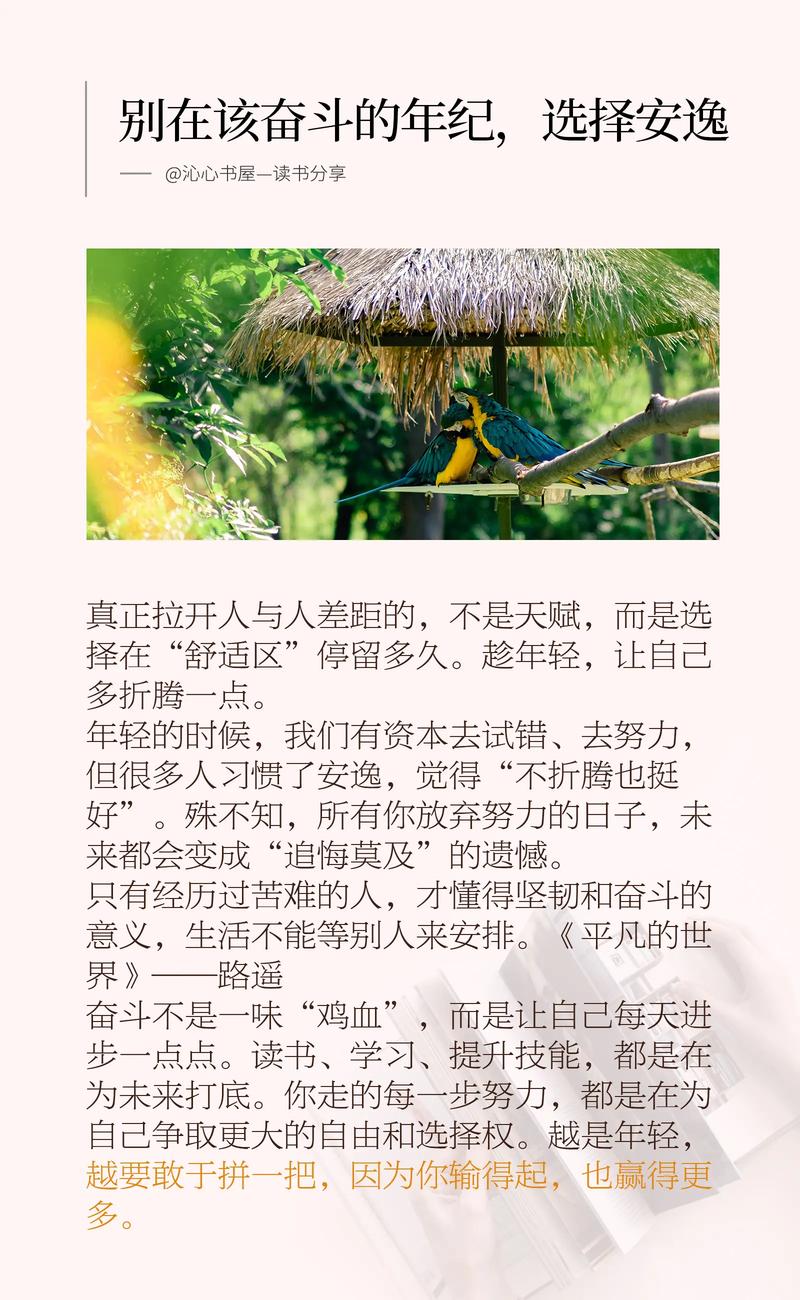 别在最吃苦的年龄选择了潇洒 第1张 别在最吃苦的年龄选择了潇洒 第1张