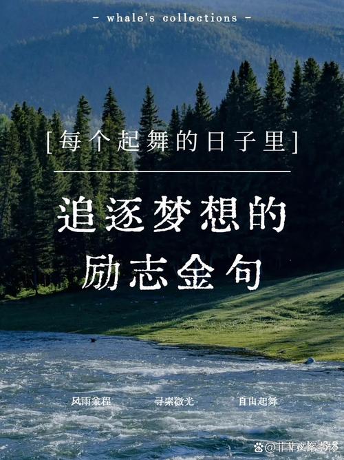 梦想是未来最好的保障 第1张 梦想是未来最好的保障 第1张