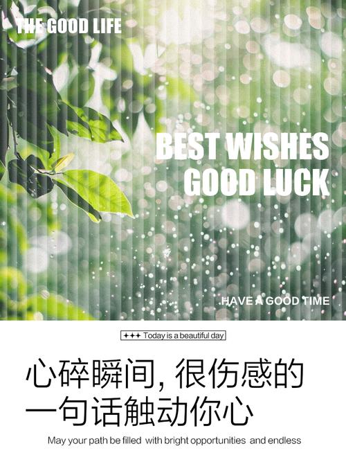 疼到骨子里心碎伤感地说说38句?图说精灵 第1张 疼到骨子里心碎伤感地说说38句?图说精灵 第1张