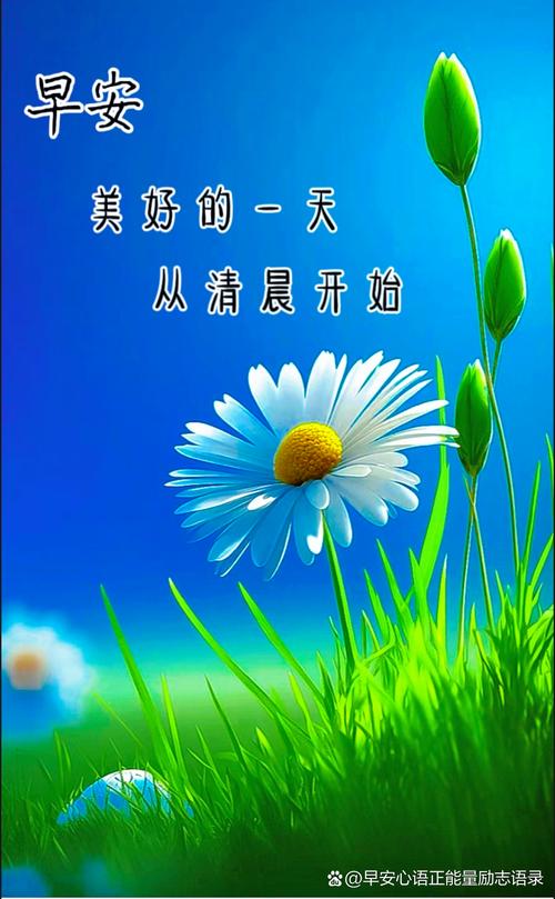 把每一天当做最初的一天过?励志文章  第1张