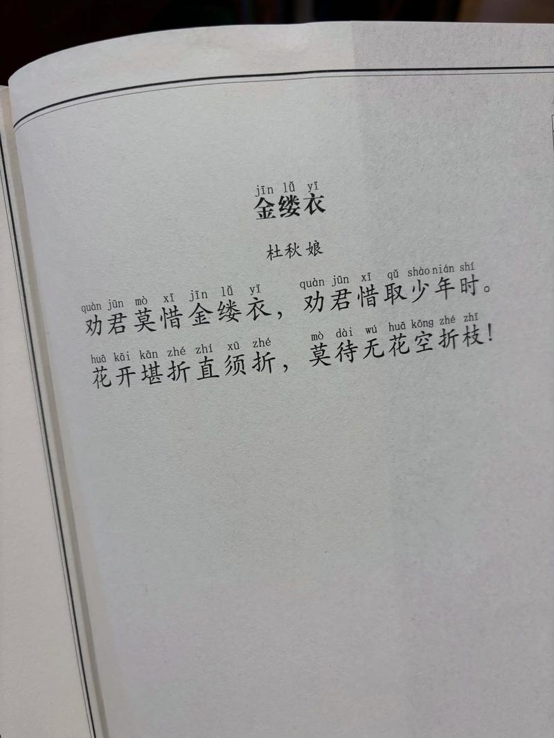 《金缕衣》19首：劝君莫惜金缕衣，劝君须惜少年时！  第1张