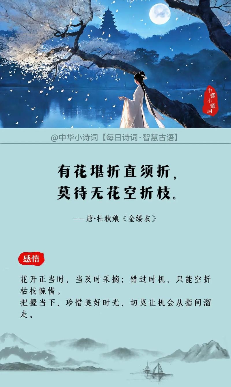有花堪折直须折,莫待无花空折枝 第1张 有花堪折直须折,莫待无花空折枝 第1张