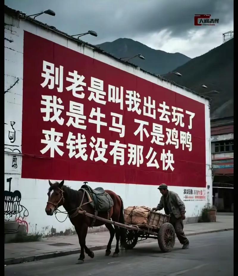 世上有人知道你牛过，我算一个  第1张