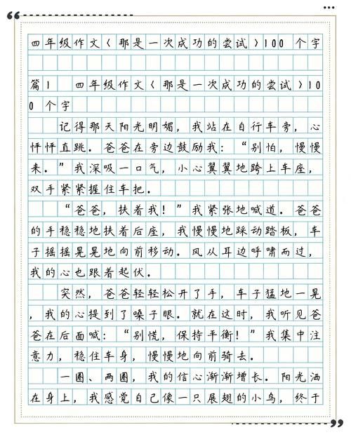 那是一次成功的尝试  第1张