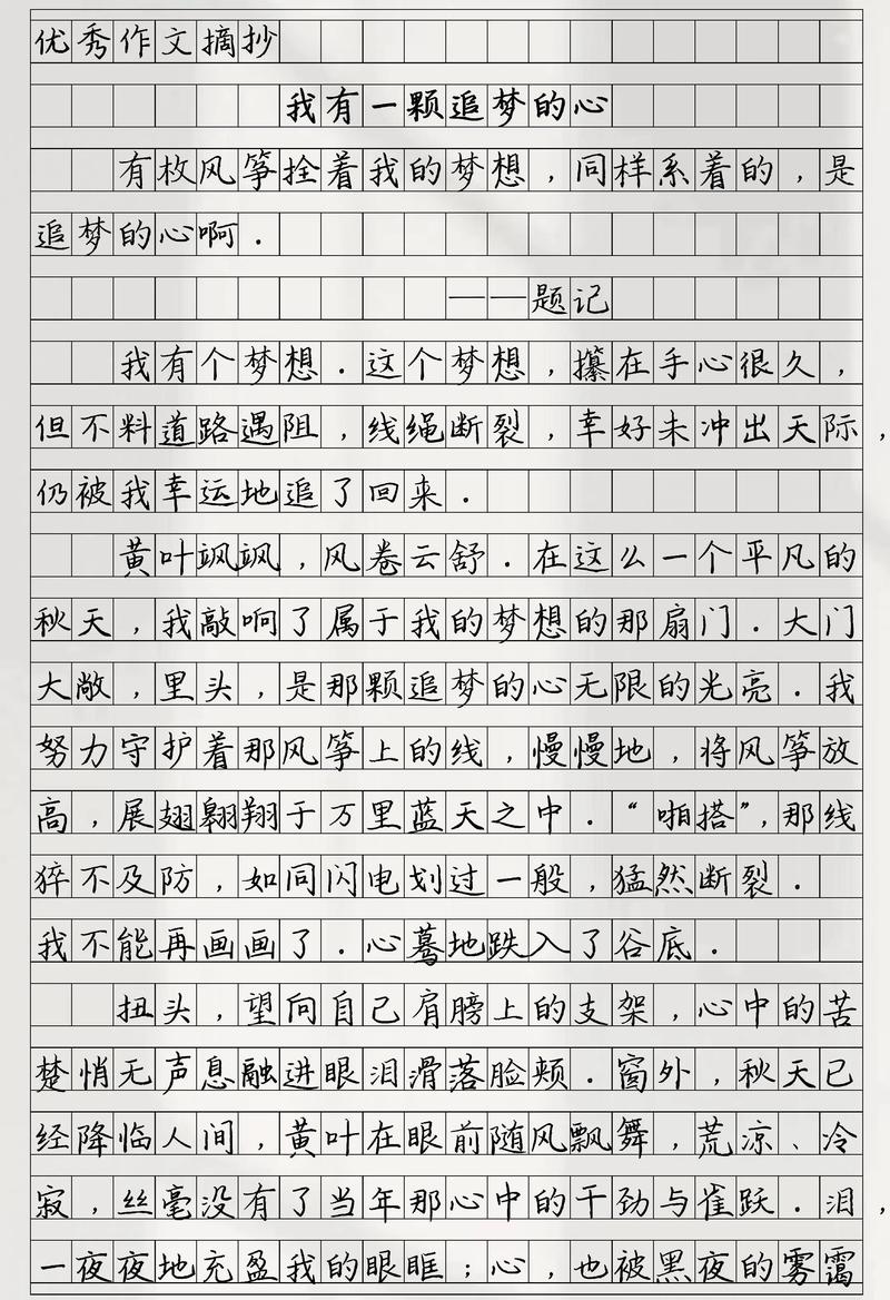 励志文章：为了梦想而飘飞  第1张