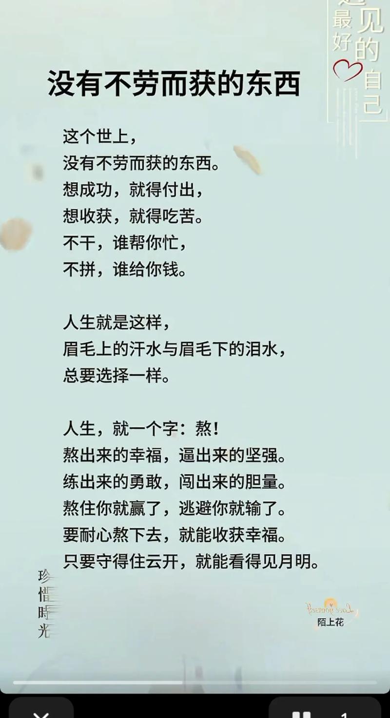 经历怎样的辛苦,才配拥有怎样好的人生 第1张 经历怎样的辛苦,才配拥有怎样好的人生 第1张