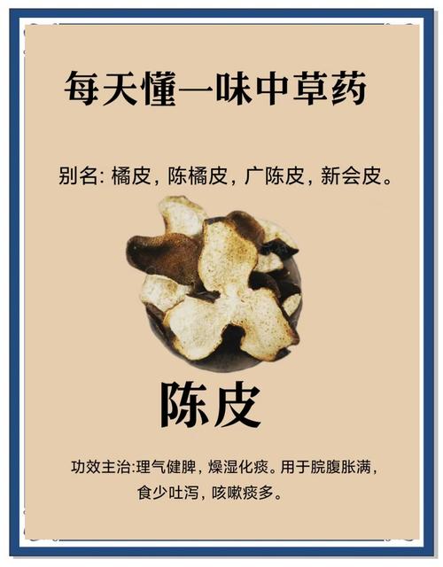 陈皮皮,人如其名,唯一 第1张 陈皮皮,人如其名,唯一 第1张