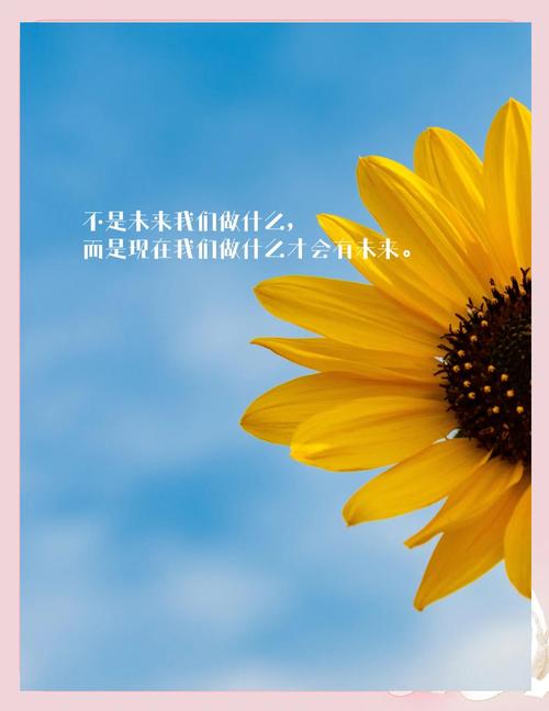 2020年发朋友圈励志句子80句 第1张 2020年发朋友圈励志句子80句 第1张