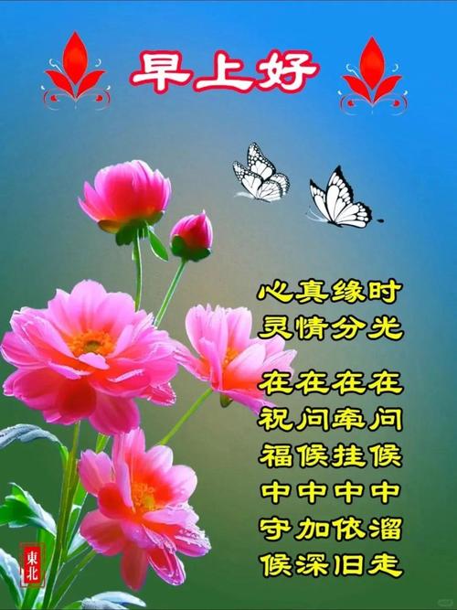 温暖心灵!24句朋友问候的暖心句子 第1张 温暖心灵!24句朋友问候的暖心句子 第1张