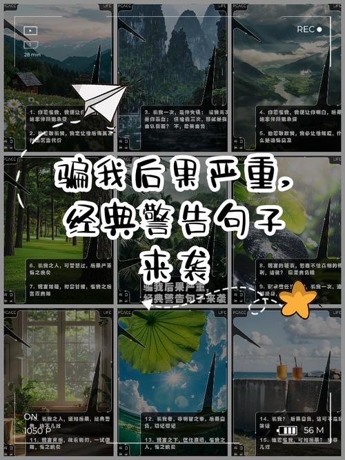 所有的借口都是骗自己的理由  第1张