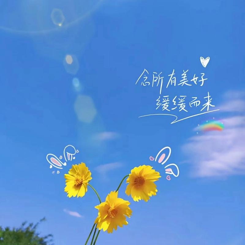 阳光正好的唯美句子,感受心中的那一抹温暖 第1张 阳光正好的唯美句子,感受心中的那一抹温暖 第1张