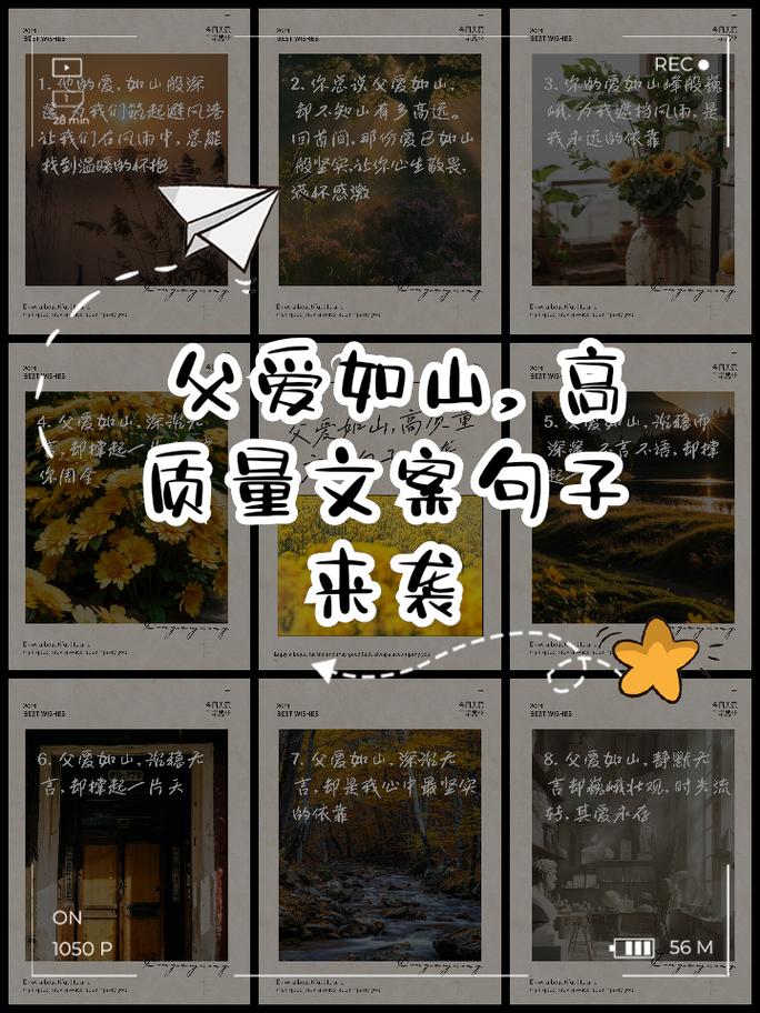 父爱如山母爱如海
愿每一种爱,都不曾被岁月辜负 第1张 父爱如山母爱如海
愿每一种爱,都不曾被岁月辜负 第1张