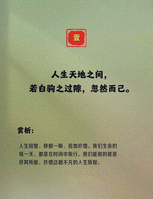 2018年度庄家感人套人经典语录最新版  第1张