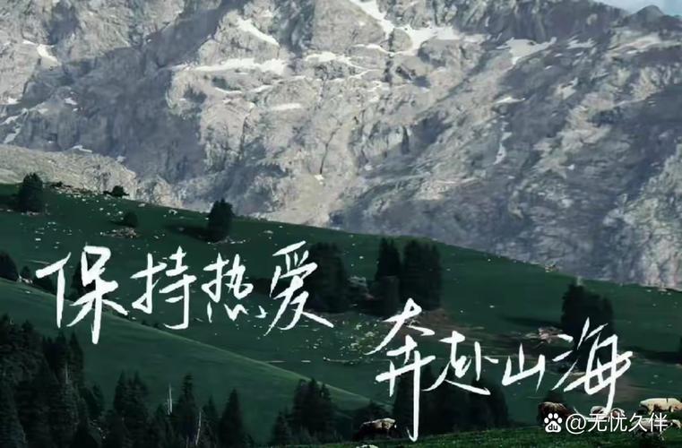 我的岁月是我未完成的路  第1张