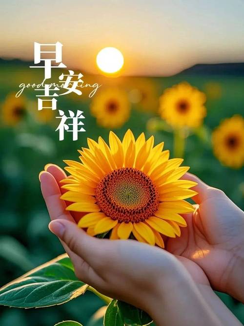 让人幸福一整天的早安心语,句句经典,治愈心灵 第1张 让人幸福一整天的早安心语,句句经典,治愈心灵 第1张