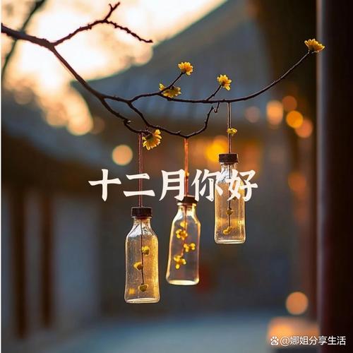 12月再见1月你好金句文案语录 十二月结束朋友圈说说句子 第1张 12月再见1月你好金句文案语录 十二月结束朋友圈说说句子 第1张