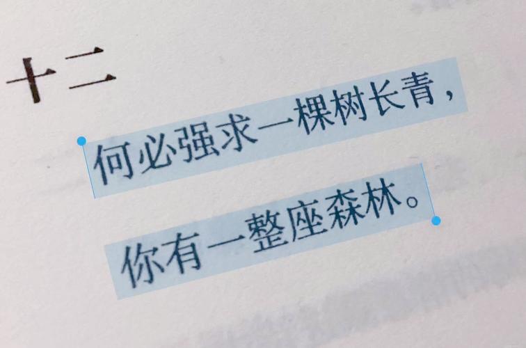 满腔热血的励志句子,寻找一棵大树好乘凉,不如自栽自养自乘凉 第1张 满腔热血的励志句子,寻找一棵大树好乘凉,不如自栽自养自乘凉 第1张