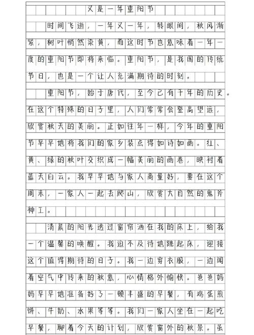高一作文:九九重阳日记3篇 第1张 高一作文:九九重阳日记3篇 第1张