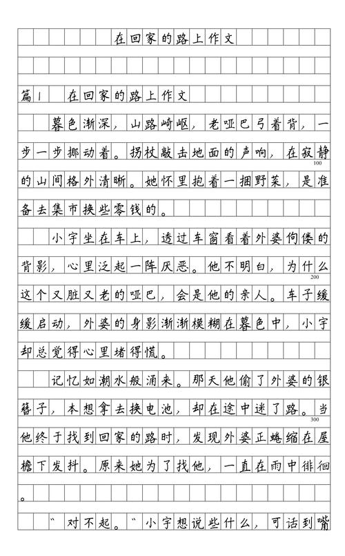 回家的路上高二作文  第1张