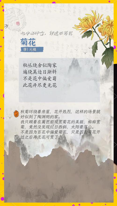 15首经典唯美菊花诗词,你会背几首 第1张 15首经典唯美菊花诗词,你会背几首 第1张