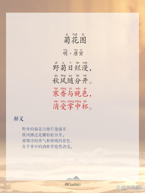 10首菊花诗词,唯美了整个秋天 第1张 10首菊花诗词,唯美了整个秋天 第1张