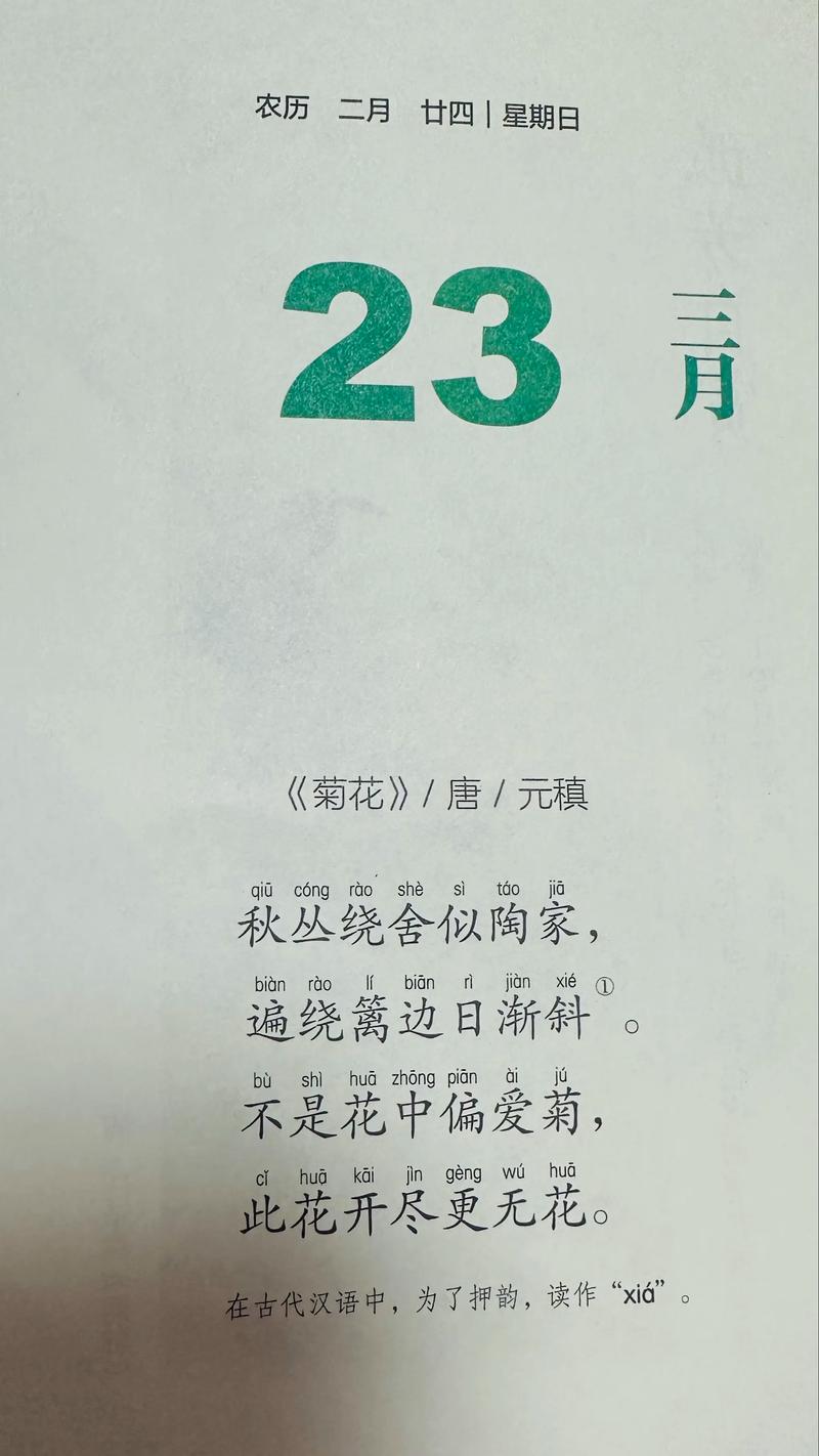6首唯美的菊花诗词，读来朗朗上口，通俗易懂  第1张