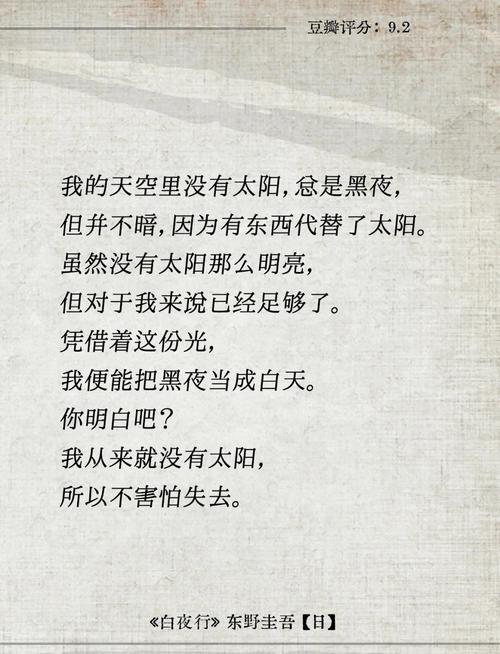 读《白夜行》有感 第1张 读《白夜行》有感 第1张
