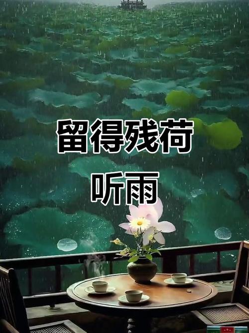 在人间,落雨听禅 第1张 在人间,落雨听禅 第1张