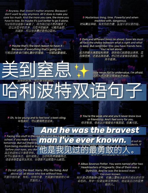 《哈利波特》——邓布利多教授的十六条至理名言  第1张