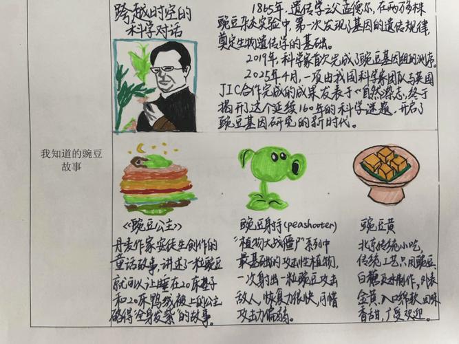 一颗豌豆，会长成什么？?励志文章  第1张