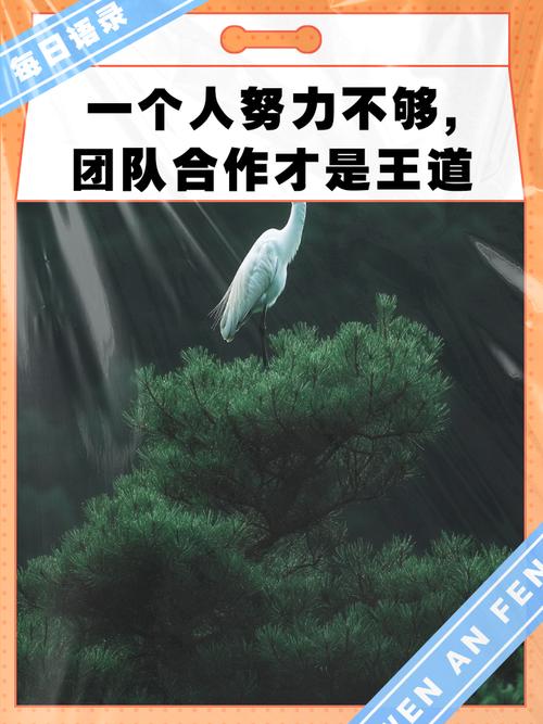 干劲满满,共赴星辰大海——那些让人热血的团队奋斗励志语 第1张 干劲满满,共赴星辰大海——那些让人热血的团队奋斗励志语 第1张