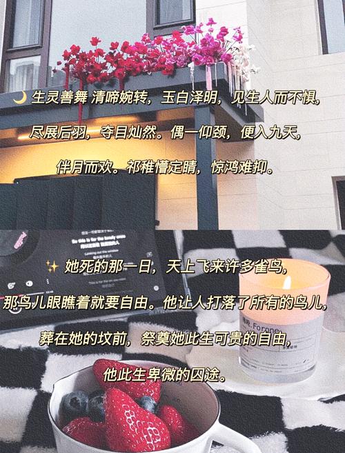古言小说中那些让人惊艳的古风情话,《昭奚旧草》经典语录镇楼 第1张 古言小说中那些让人惊艳的古风情话,《昭奚旧草》经典语录镇楼 第1张