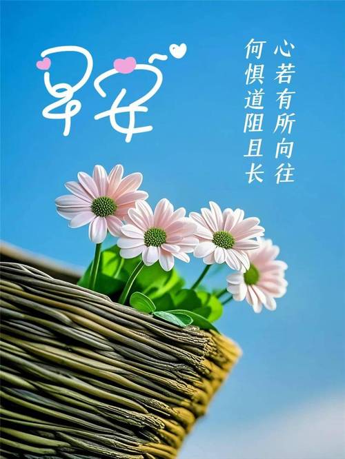 励志早安问候,最温暖的早安问候语,高情商向领导问候早安的句子 第1张 励志早安问候,最温暖的早安问候语,高情商向领导问候早安的句子 第1张