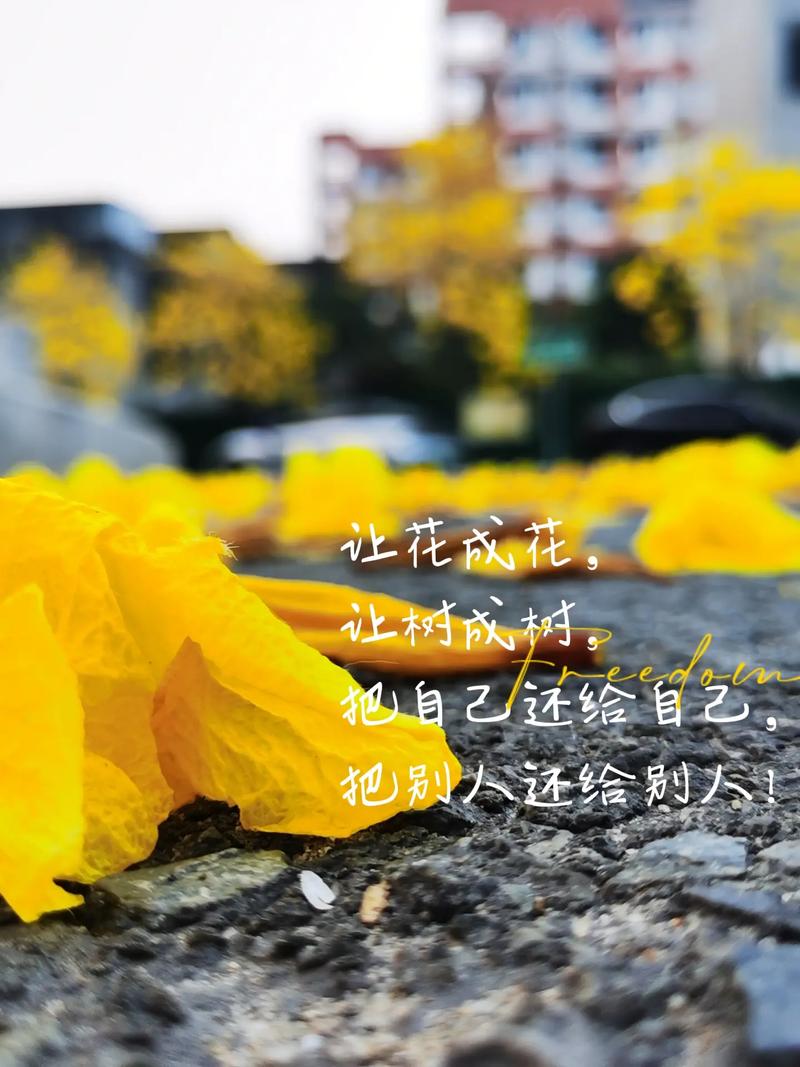 配花草图片的文案,配花草风景树木的文案句子,励志诗意朋友圈 第1张 配花草图片的文案,配花草风景树木的文案句子,励志诗意朋友圈 第1张