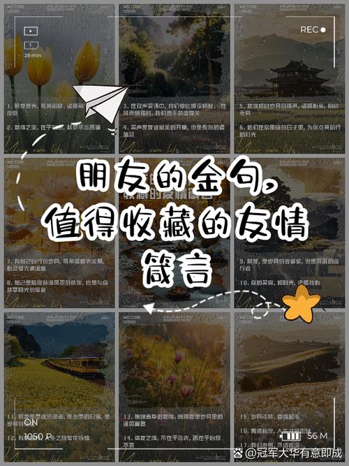 朋友之间友谊的经典句子 第1张 朋友之间友谊的经典句子 第1张
