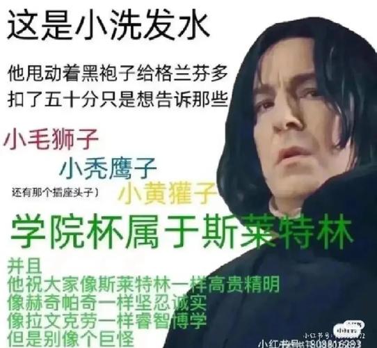 伏地魔这个词的出处源自这里,而在游戏中,你会怎样对付伏地魔? 第1张 伏地魔这个词的出处源自这里,而在游戏中,你会怎样对付伏地魔? 第1张