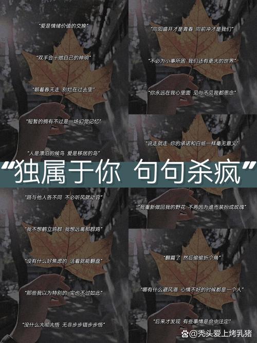 别追不累的羊，心无旁骜，抓到属于你自己的羊  第1张