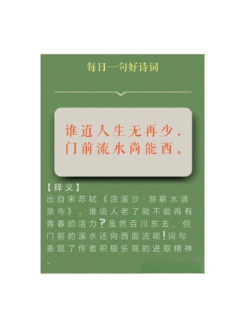 这5首古诗词才是真正的乐观! 第1张 这5首古诗词才是真正的乐观! 第1张