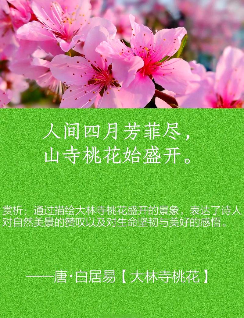 描写桃花的优美句子 忽如一阵桃花开 第1张 描写桃花的优美句子 忽如一阵桃花开 第1张