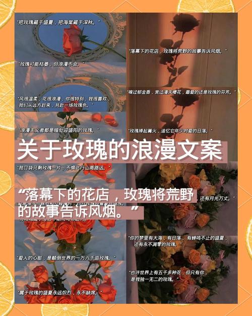 那些玫瑰不再，伤心难忘的高级文案  第1张