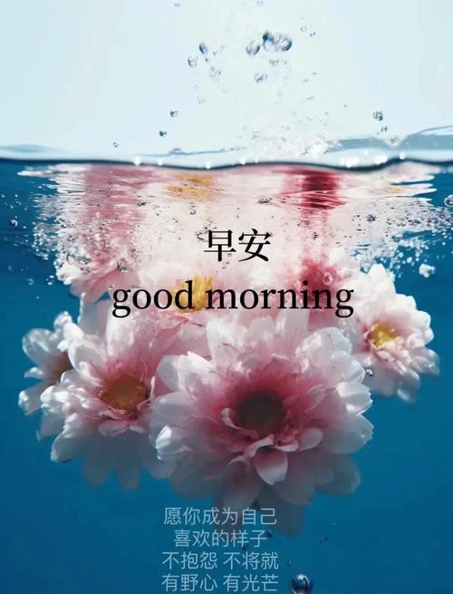 听起来简单干净舒服的的句子,发朋友圈人人点赞! 第1张 听起来简单干净舒服的的句子,发朋友圈人人点赞! 第1张
