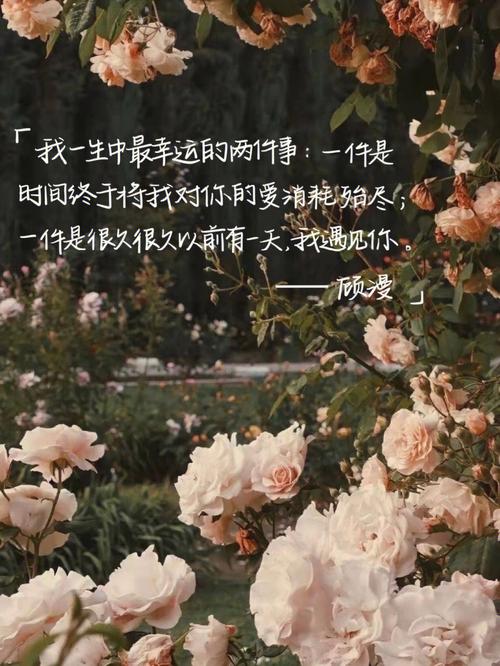 慢慢来,都在路上 第1张 慢慢来,都在路上 第1张