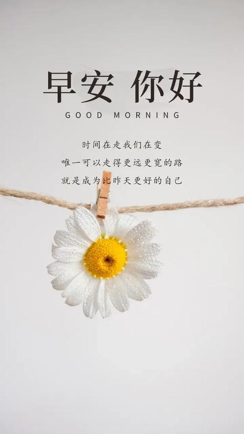 早安励志语录 | 成功是日复一日的坚持,而不是一蹴而就的奇迹 第1张 早安励志语录 | 成功是日复一日的坚持,而不是一蹴而就的奇迹 第1张