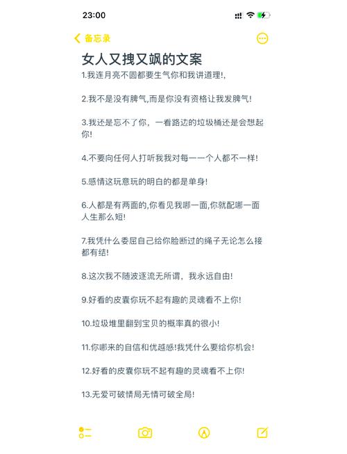 女生致自己很酷的说说,超拽超霸气,让你一见倾心! 第1张 女生致自己很酷的说说,超拽超霸气,让你一见倾心! 第1张