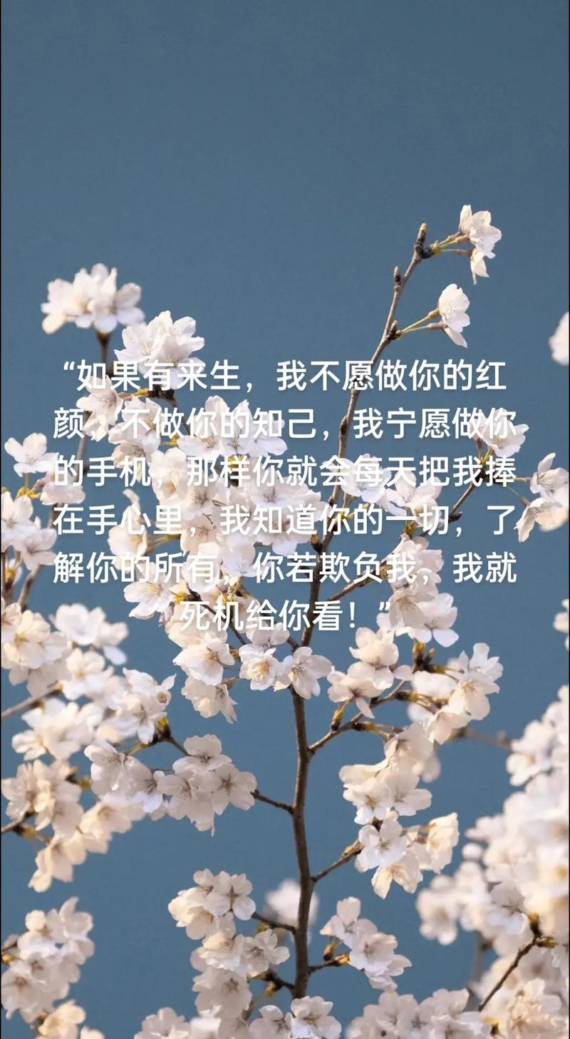 红颜易找,知己难求,别因“新鲜感”,就忘记了初心 第1张 红颜易找,知己难求,别因“新鲜感”,就忘记了初心 第1张