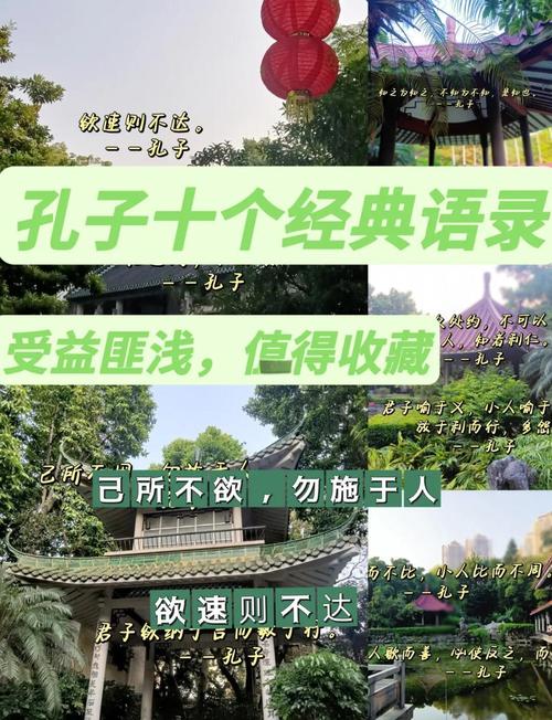 孔子经典的十句话,条条精辟可收藏,尤其最后一条,成大事者必备 第1张 孔子经典的十句话,条条精辟可收藏,尤其最后一条,成大事者必备 第1张